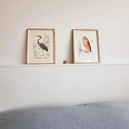 Le Petit - Hyper Centre Ville, 2 Min De La Et Des Commerces