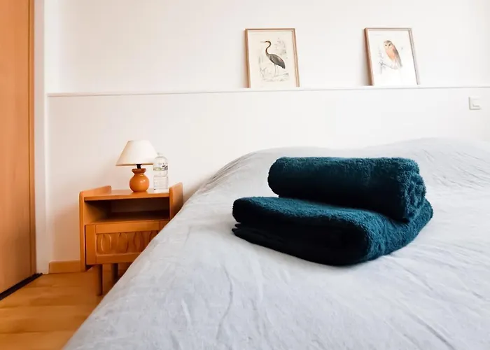 Le Petit - Hyper Centre Ville, 2 Min De La Et Des Commerces 로양