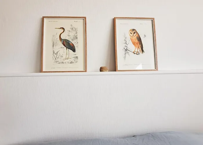 Le Petit - Hyper Centre Ville, 2 Min De La Et Des Commerces